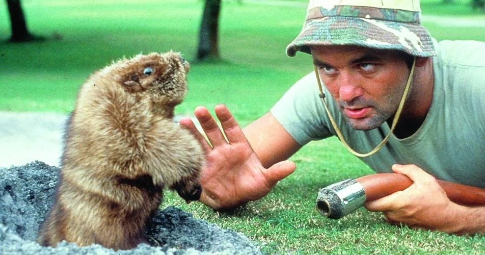 MGA Superintendent's Revenge