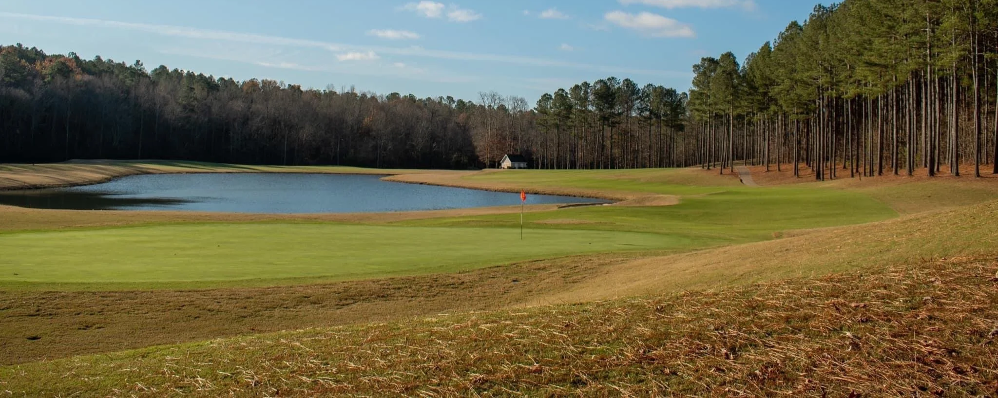 Crystal Falls #4.png