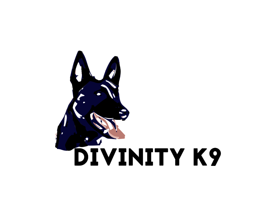 Divinity K9