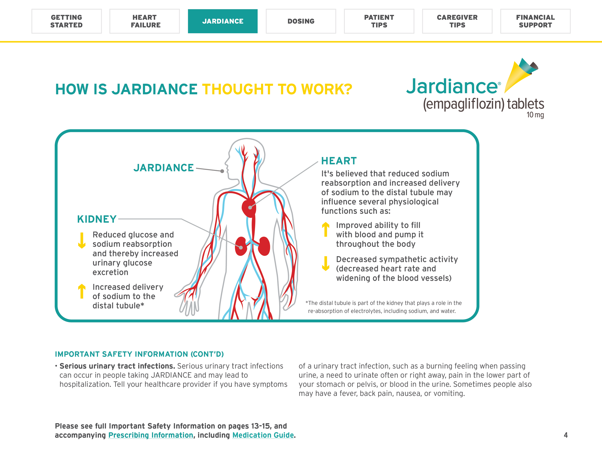 Jardiance Educational tool-04.png