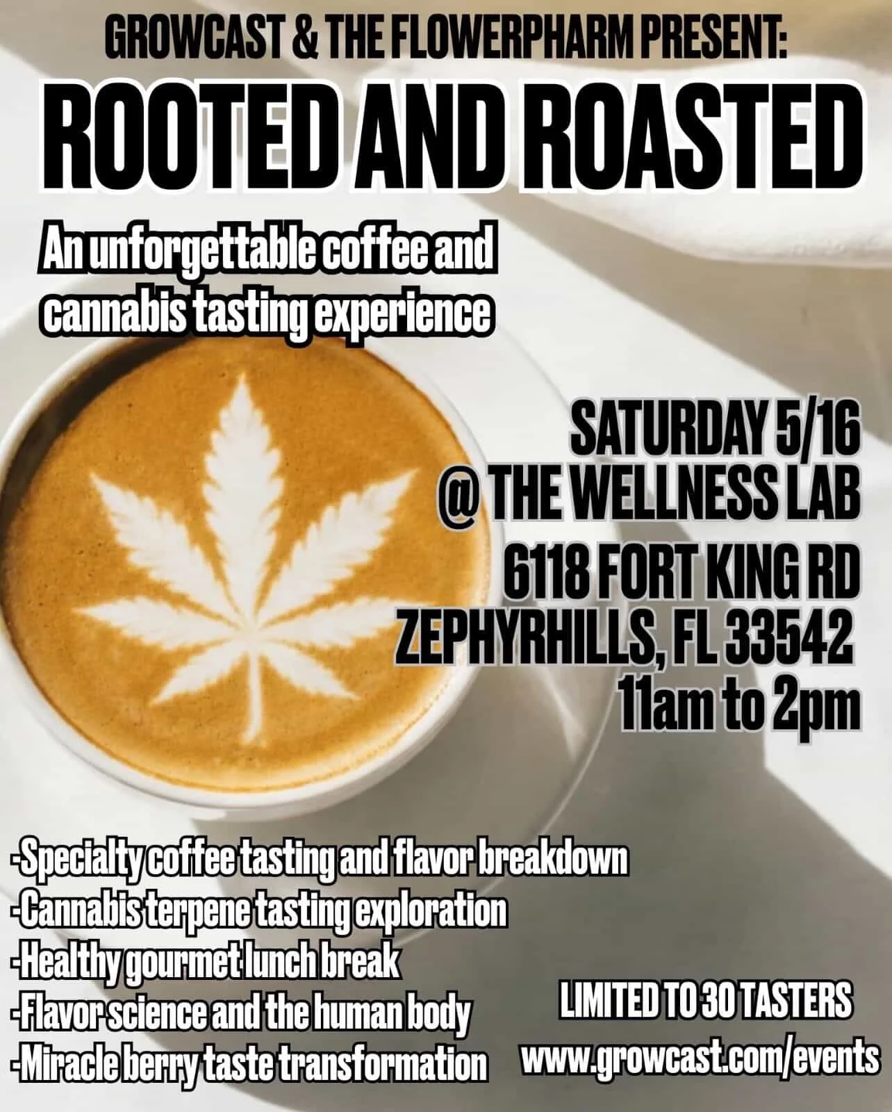 🌿☕ Rooted &amp; Roasted: A Flavor Pharm Experience