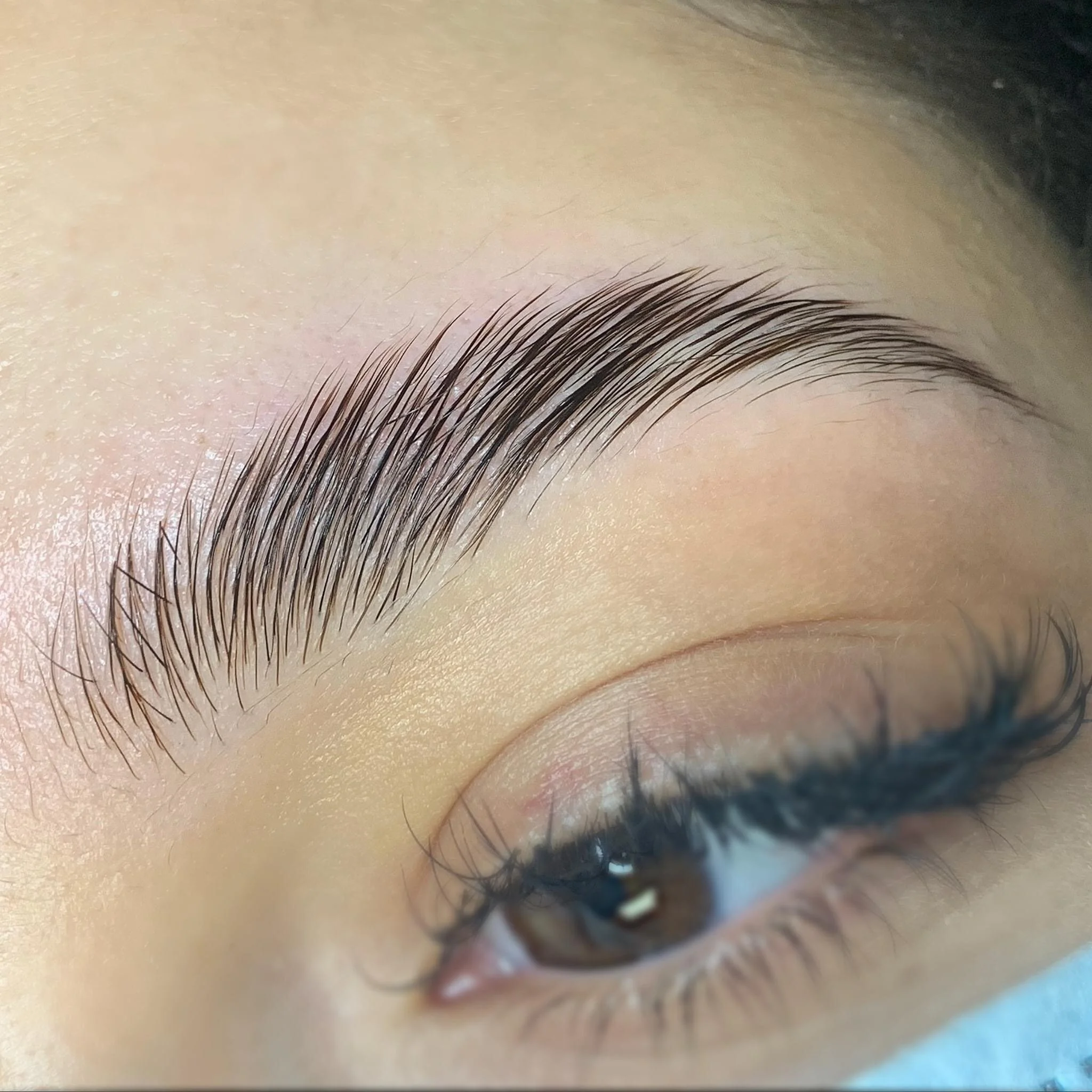 Eyebrow Lamination Information