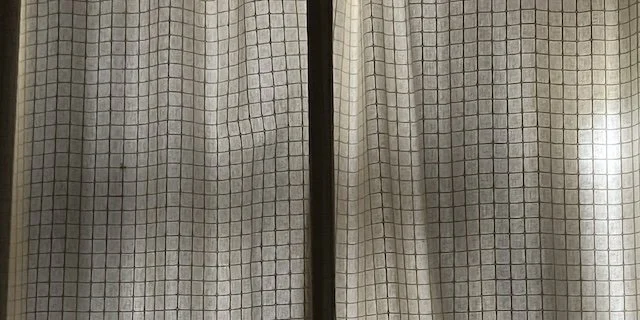   The perks of being an in-law    August 15, 2025     Join me in considering the unique anthropological opportunity this relationship presents. 