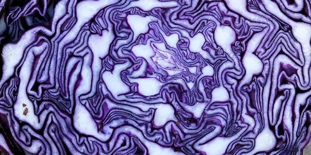   "You don't have a will?!"    January 23, 2026     It's not (just) about how you're going to die, it's about who you love and what you value.  Plus:   Readers respond. 