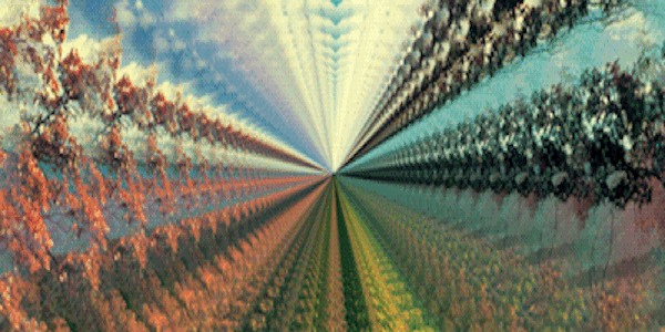   This week's Thing    Jan 29, 2021    The internet has settled into a predictable rhythm.