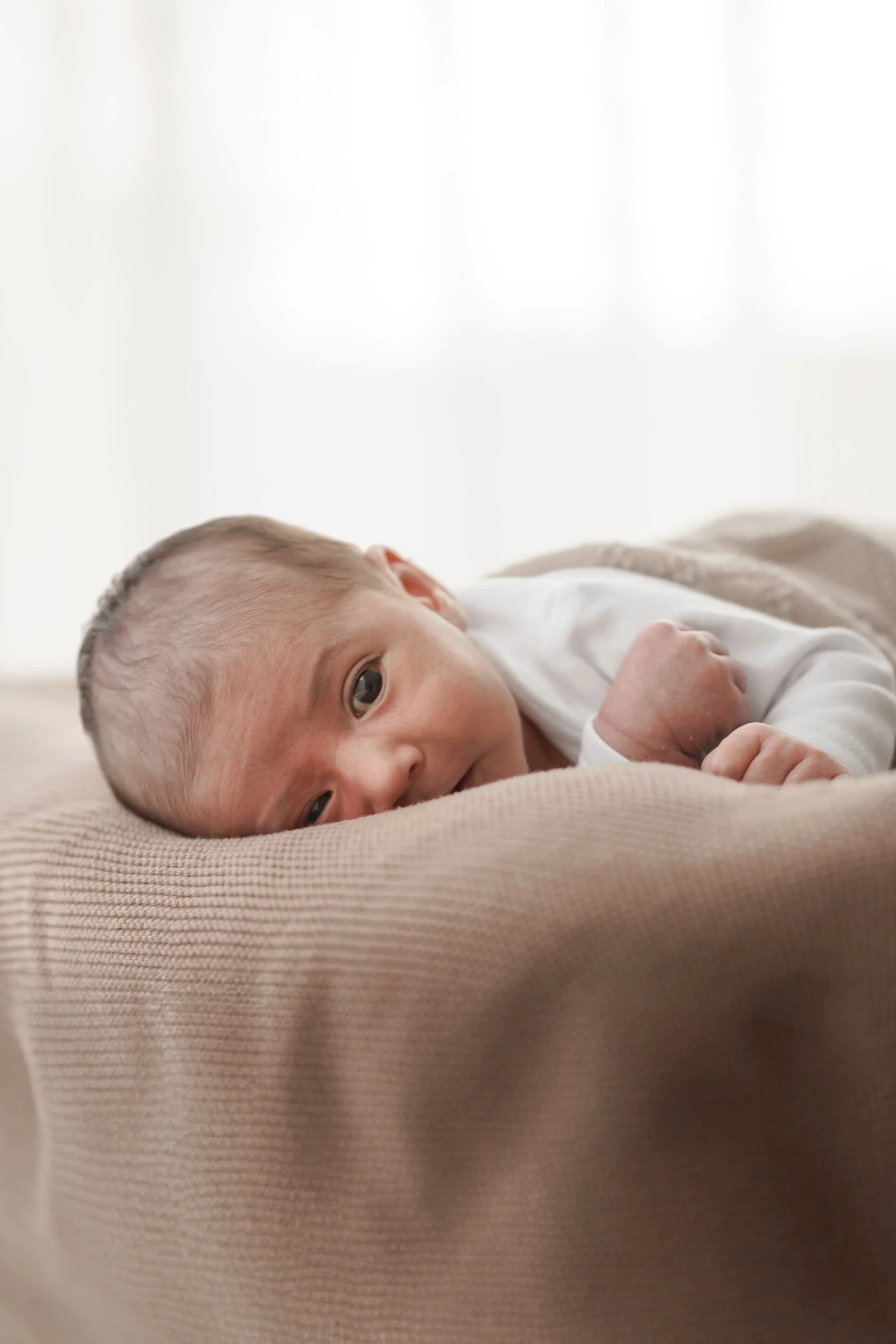 Newborn photoshoot 9 August 2025 Photos by Irena Cima Photography-1.jpg