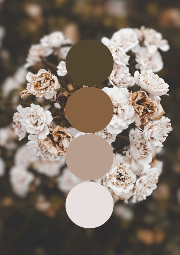 Close-up of dried white and brown flowers with four color swatches overlayed from dark to light.