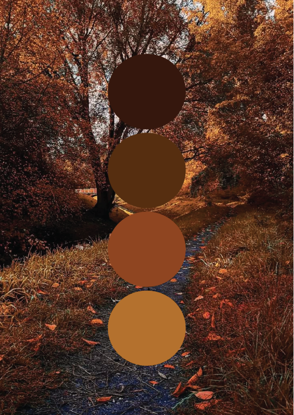 A scenic autumn trail lined with trees with orange and yellow leaves, some fallen leaves on the path, and a small river running parallel to the trail.