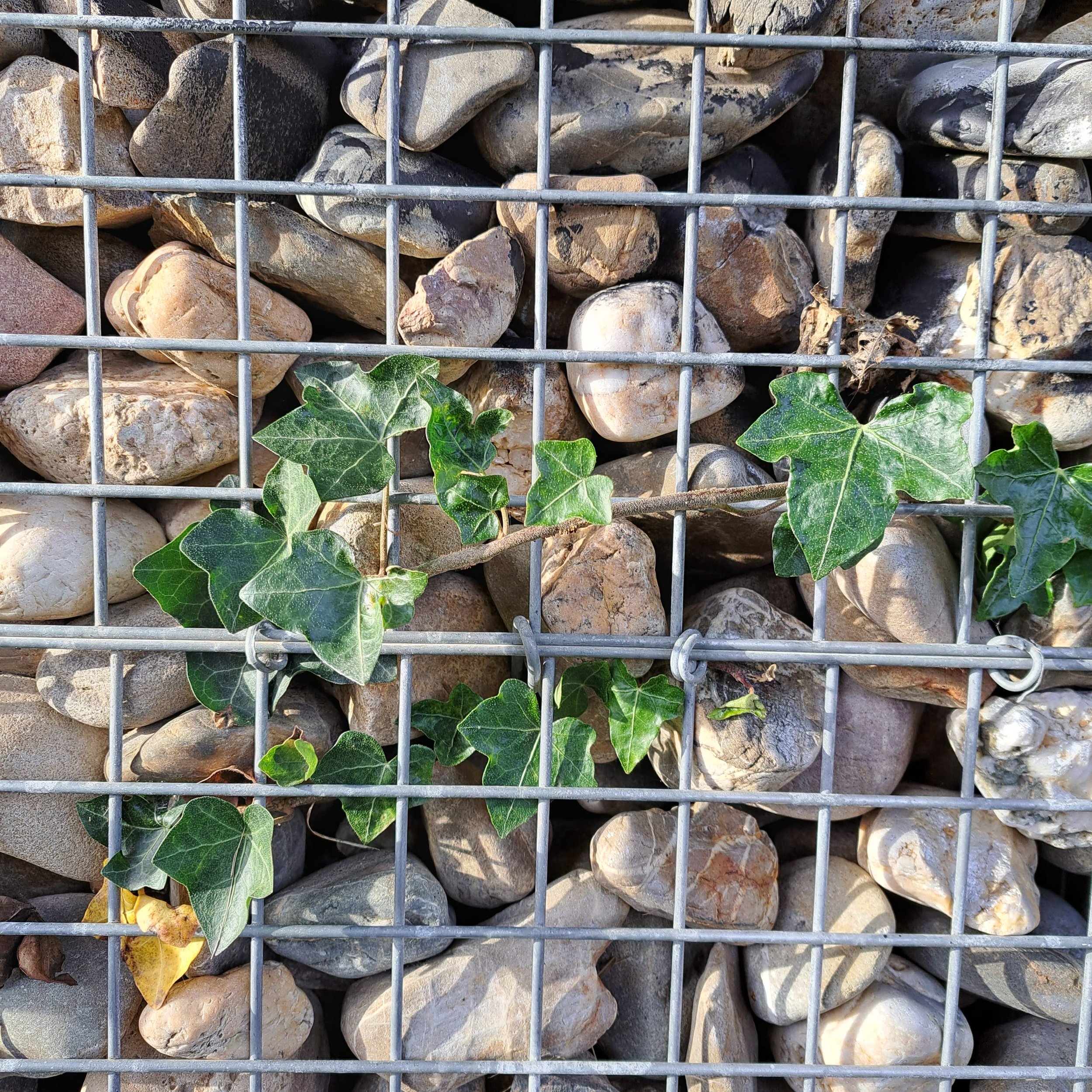 Hakan Fatih Büyükadali | Elke donderdag een nieuwe blog in het Nederlands en Turks