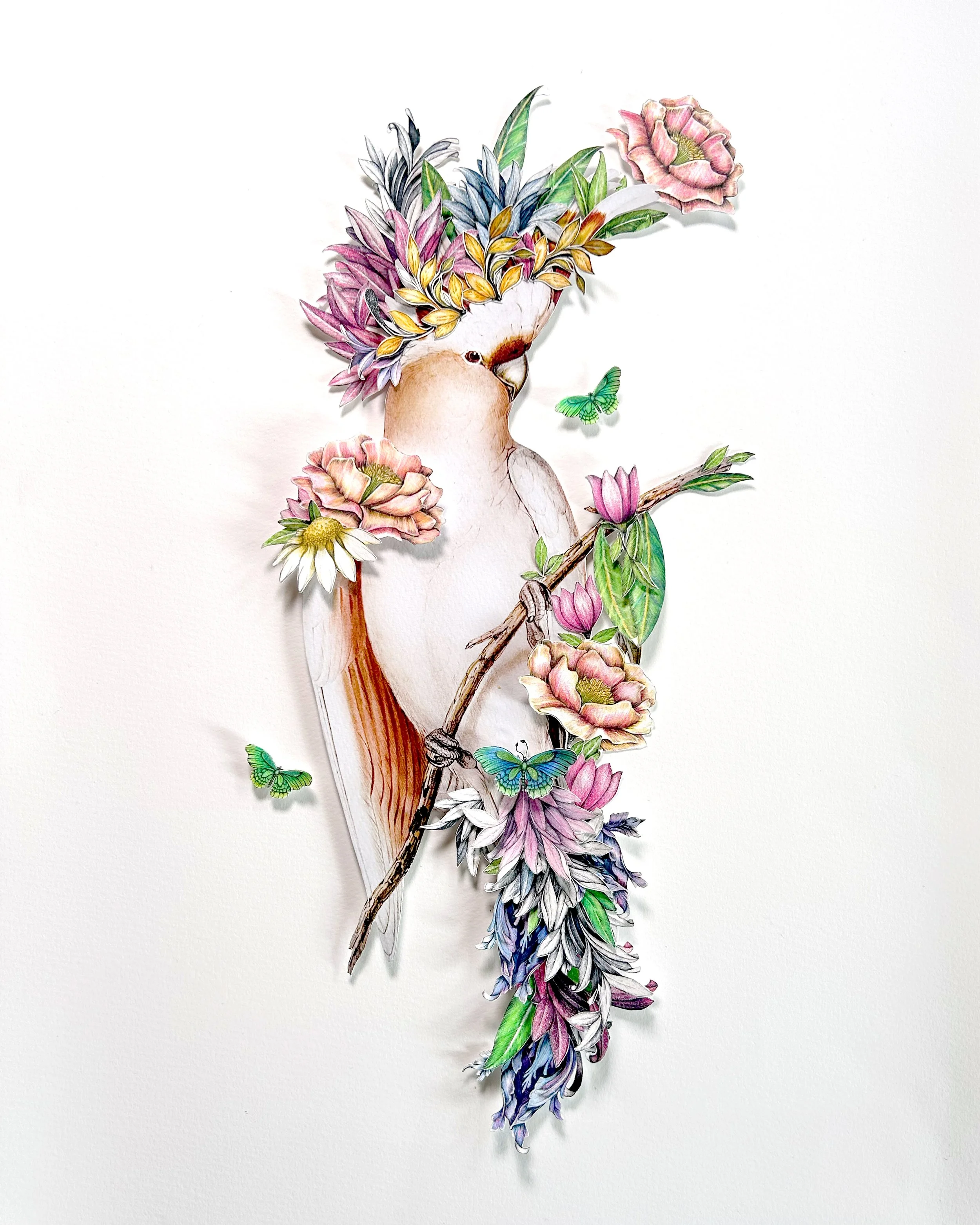 CYANTHUS (sy-AN-thus) — n.