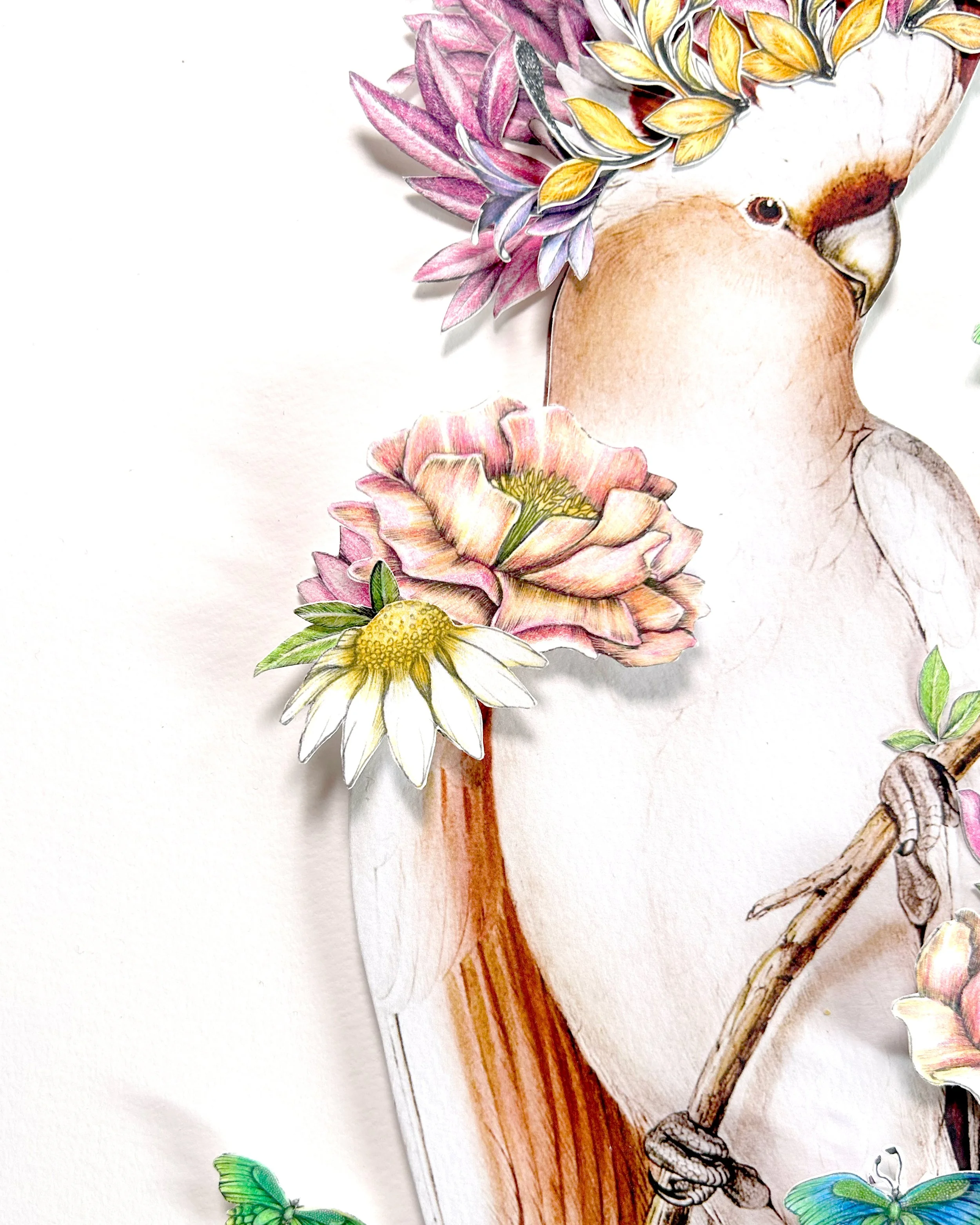 Cockatoo-Collage-Artwork3.jpg