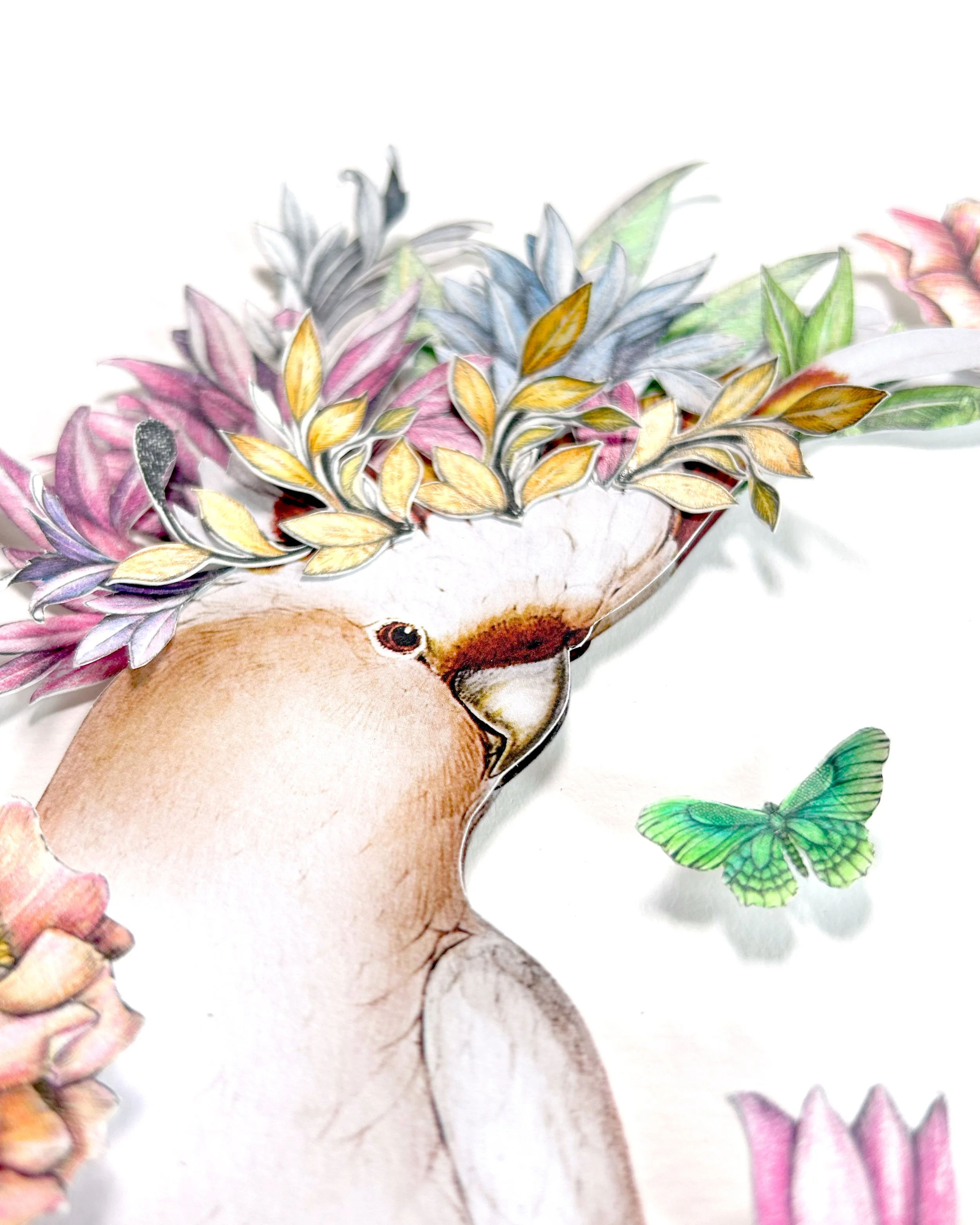 Cockatoo-Collage-Artwork7.jpg