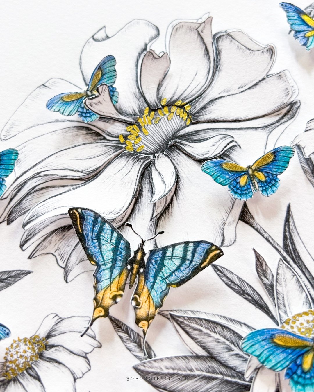 Pen and ink floral illustration with hand-cut, blue and yellow butterflies collaged onto archival paper.