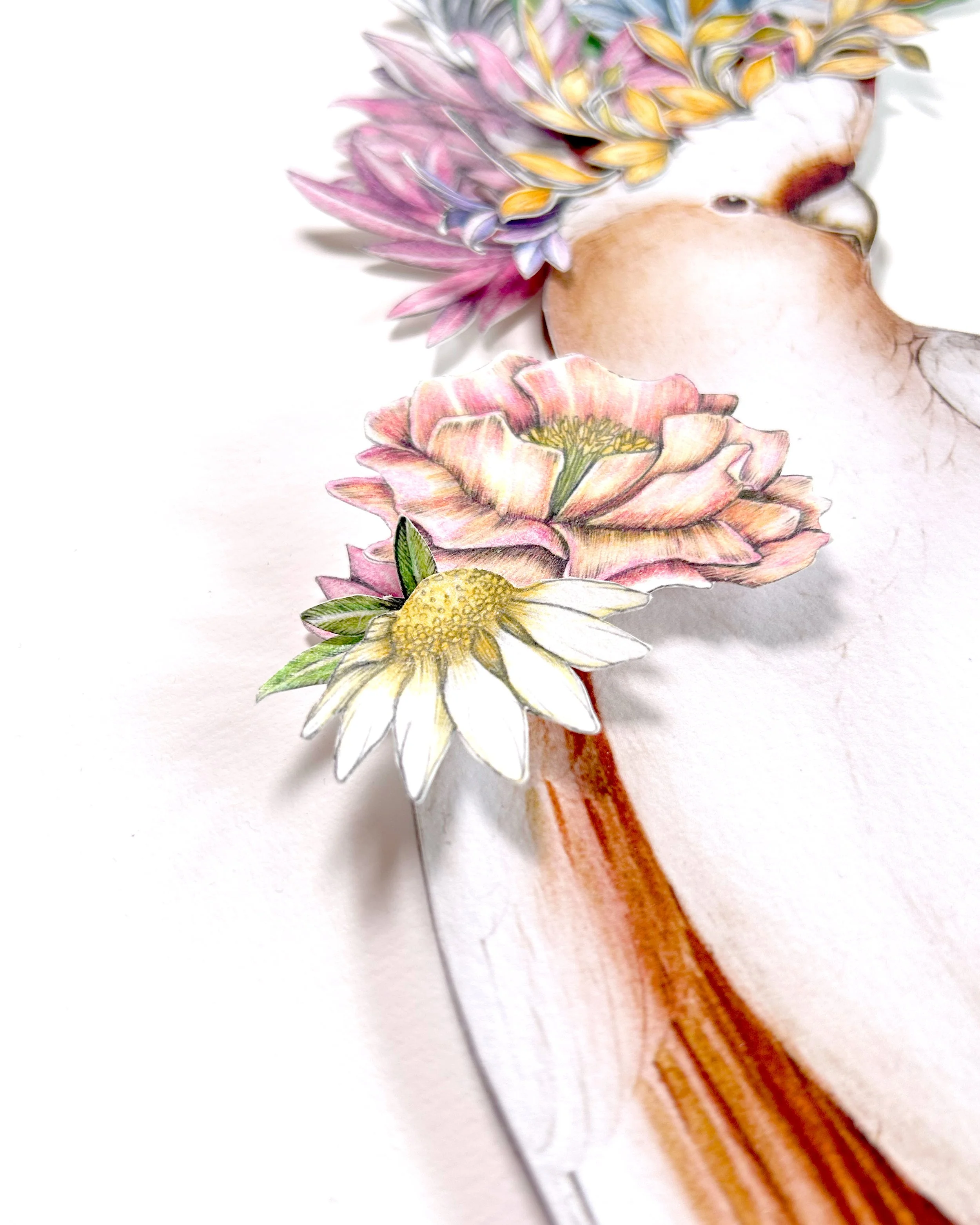 Cockatoo-Collage-Artwork8.jpg