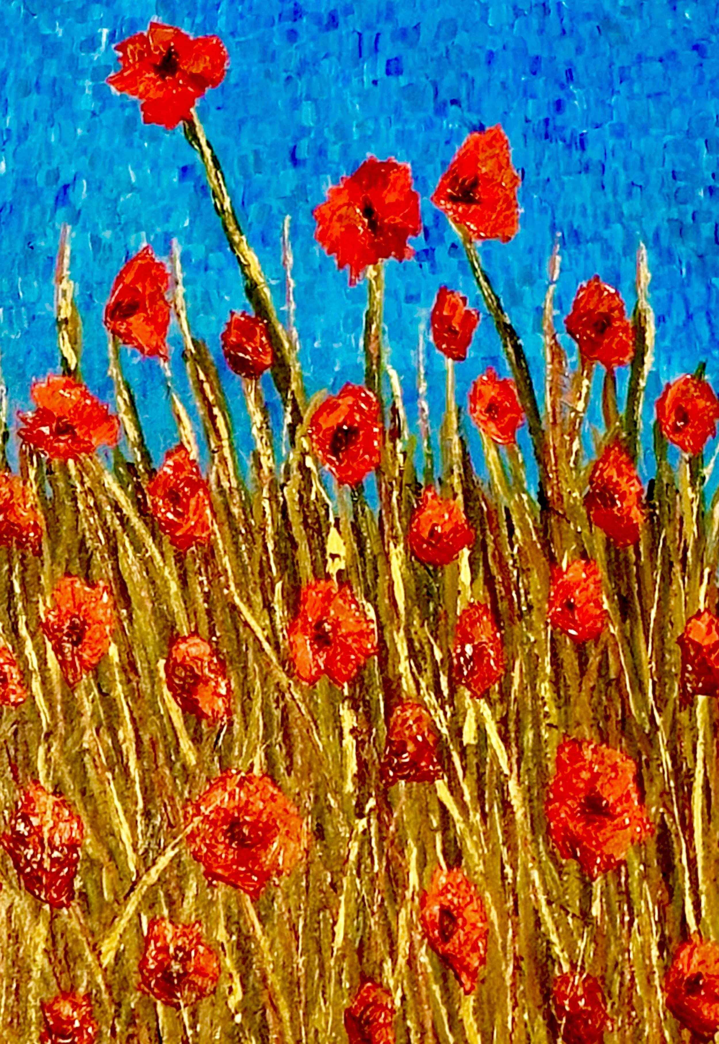 Poppies $525