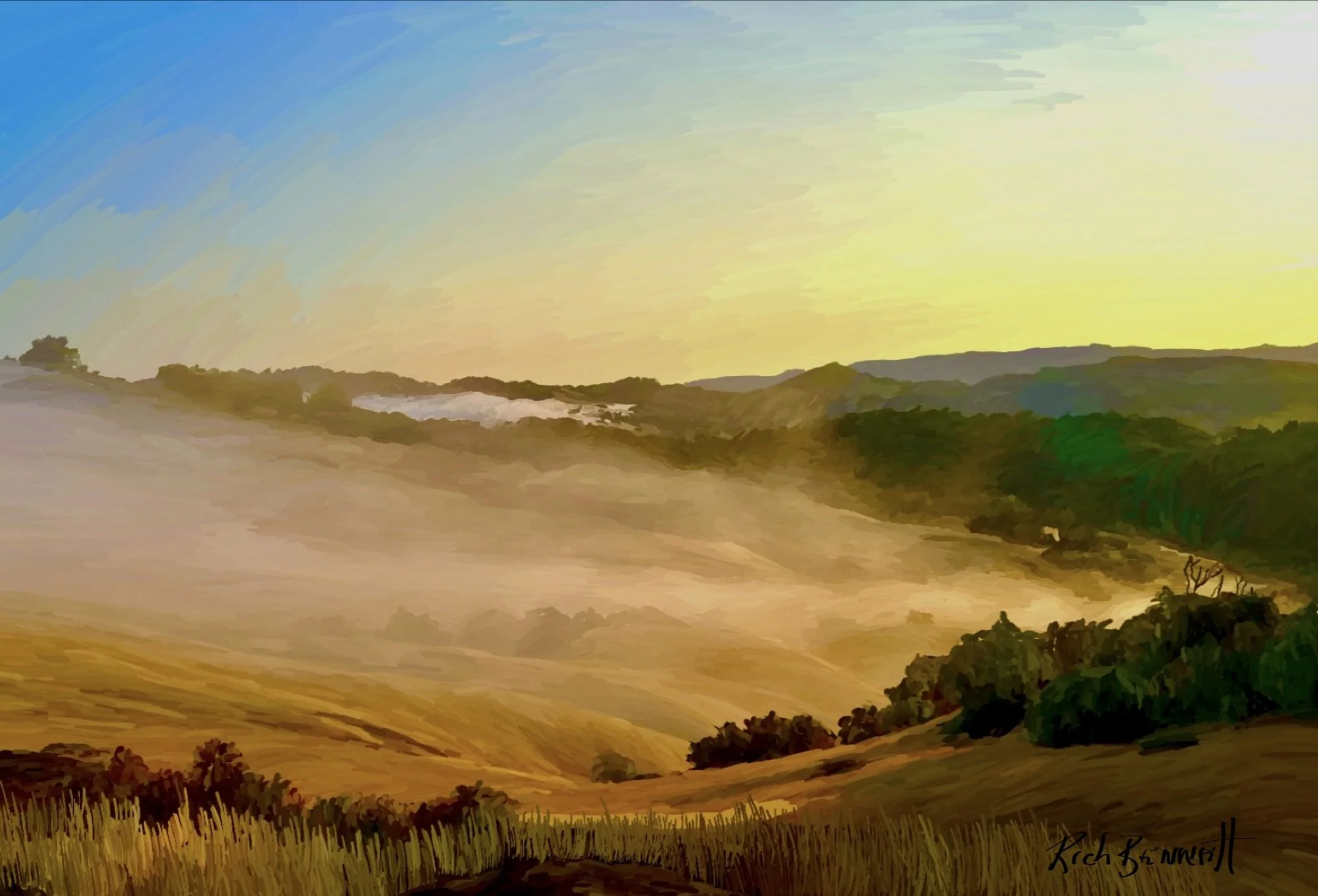 Alexander Valley early morning $475