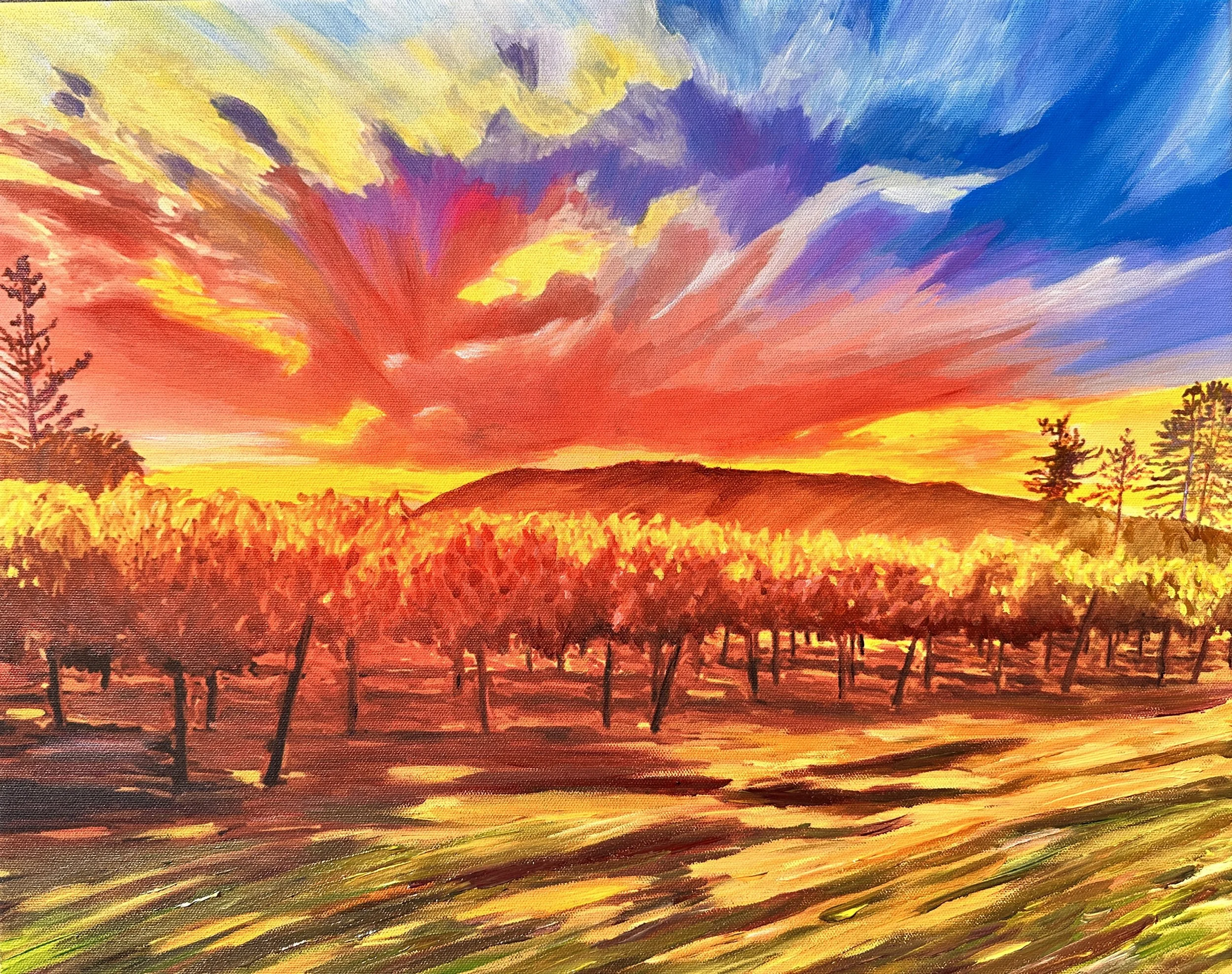 Twin widows vineyard $475