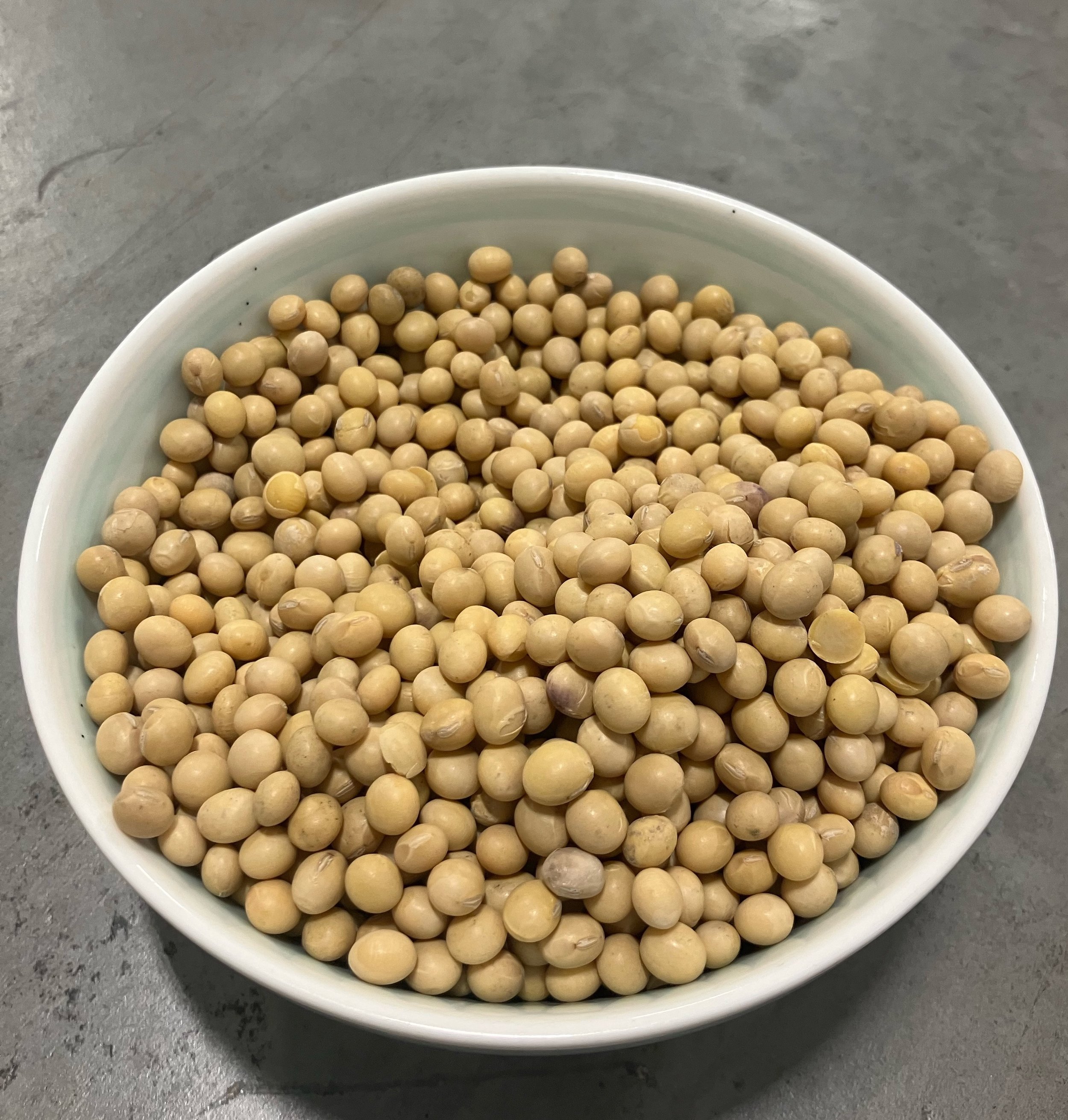 Soybean 3.jpeg