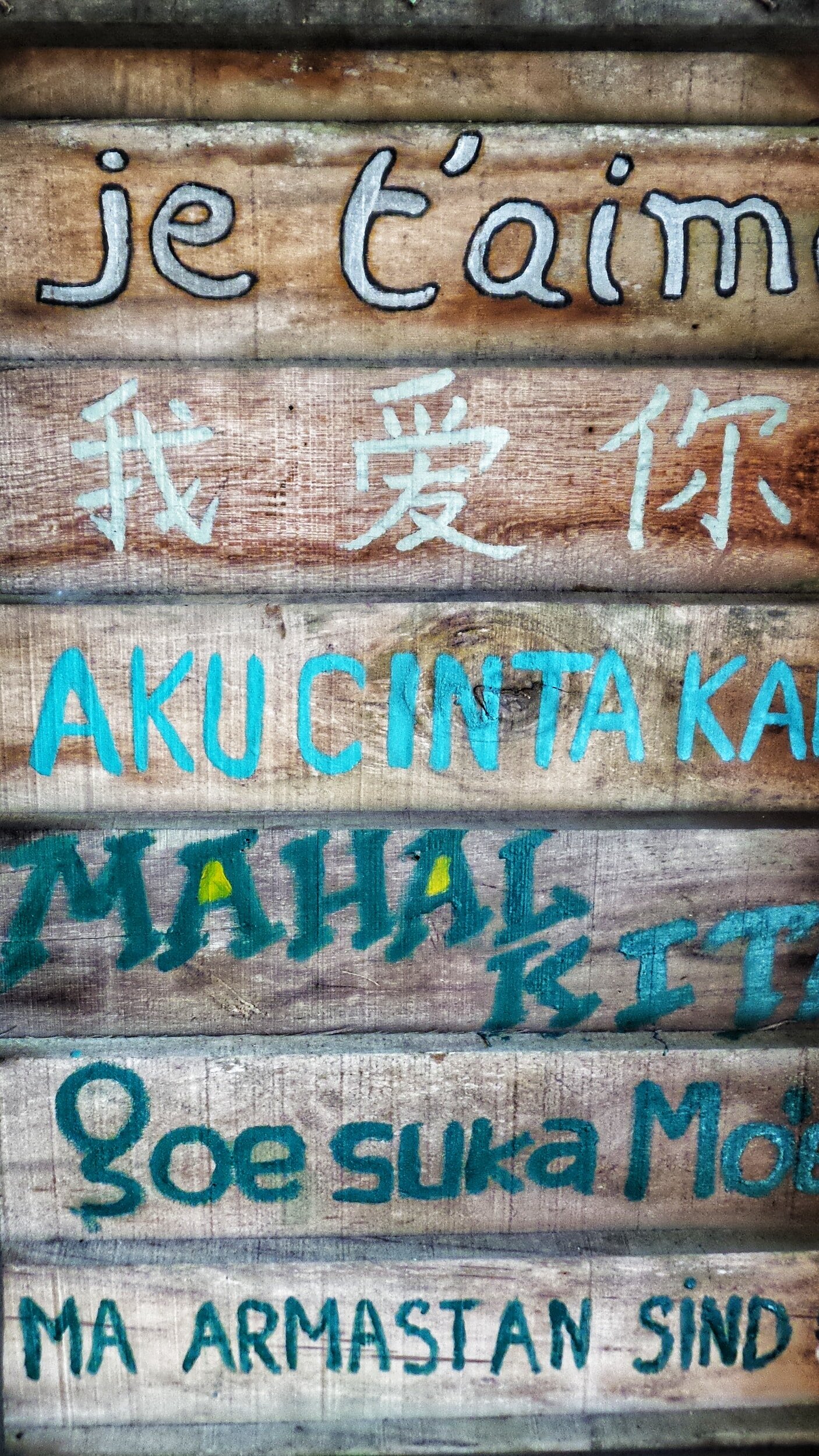 Linguistic relativity
