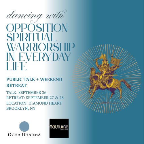 Talk + Weekend Retreat | Dancing with Opposition: Spiritual Warriorship in Everyday Life