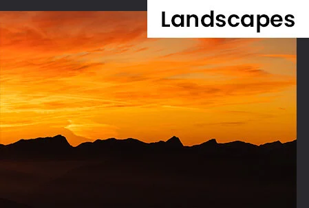 vis_landscapes.jpg