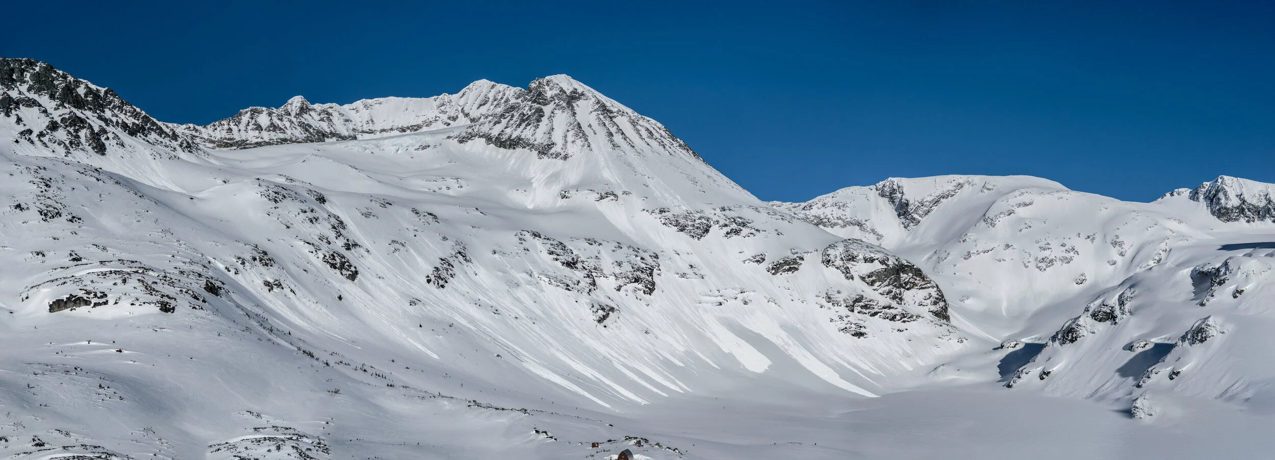 Numerous avalanches around Wedgemount Lake during spring a few years ago. I should probably not have been there.