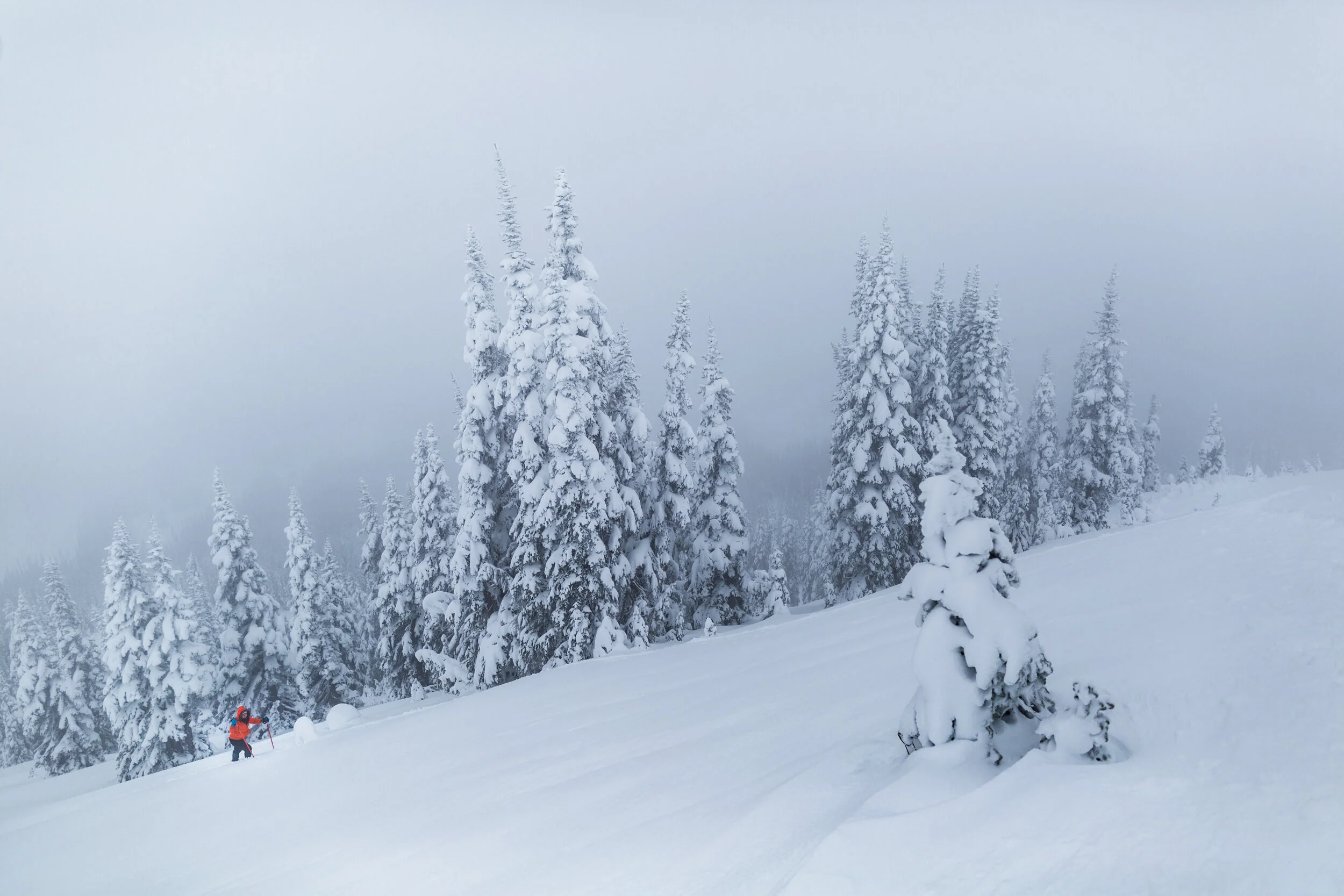 adventures_blackTuskMeadows_0024_171024_0001.jpg