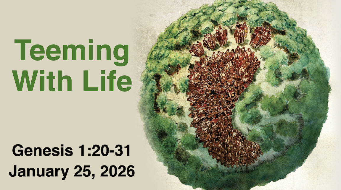 “Teeming with Life”