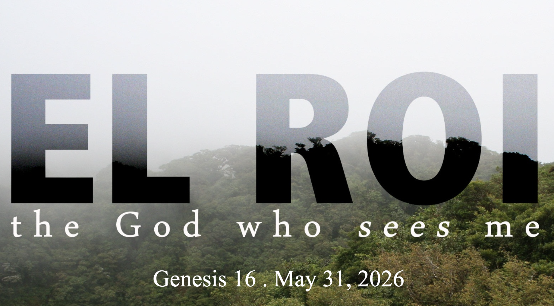 El Roi the God who sees me