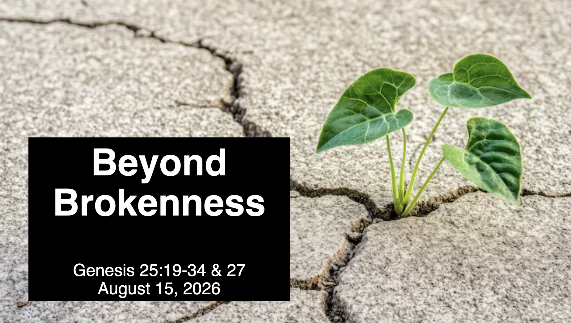 “Beyond Brokenness”