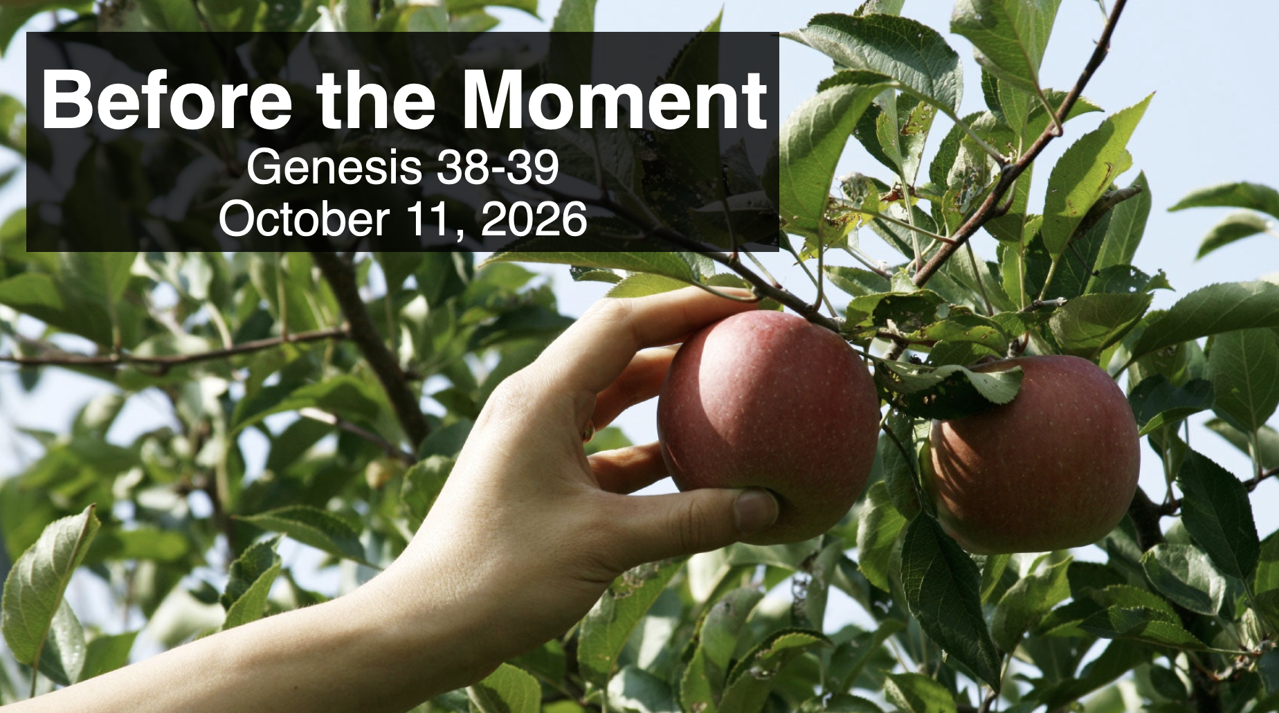 “Before the Moment”