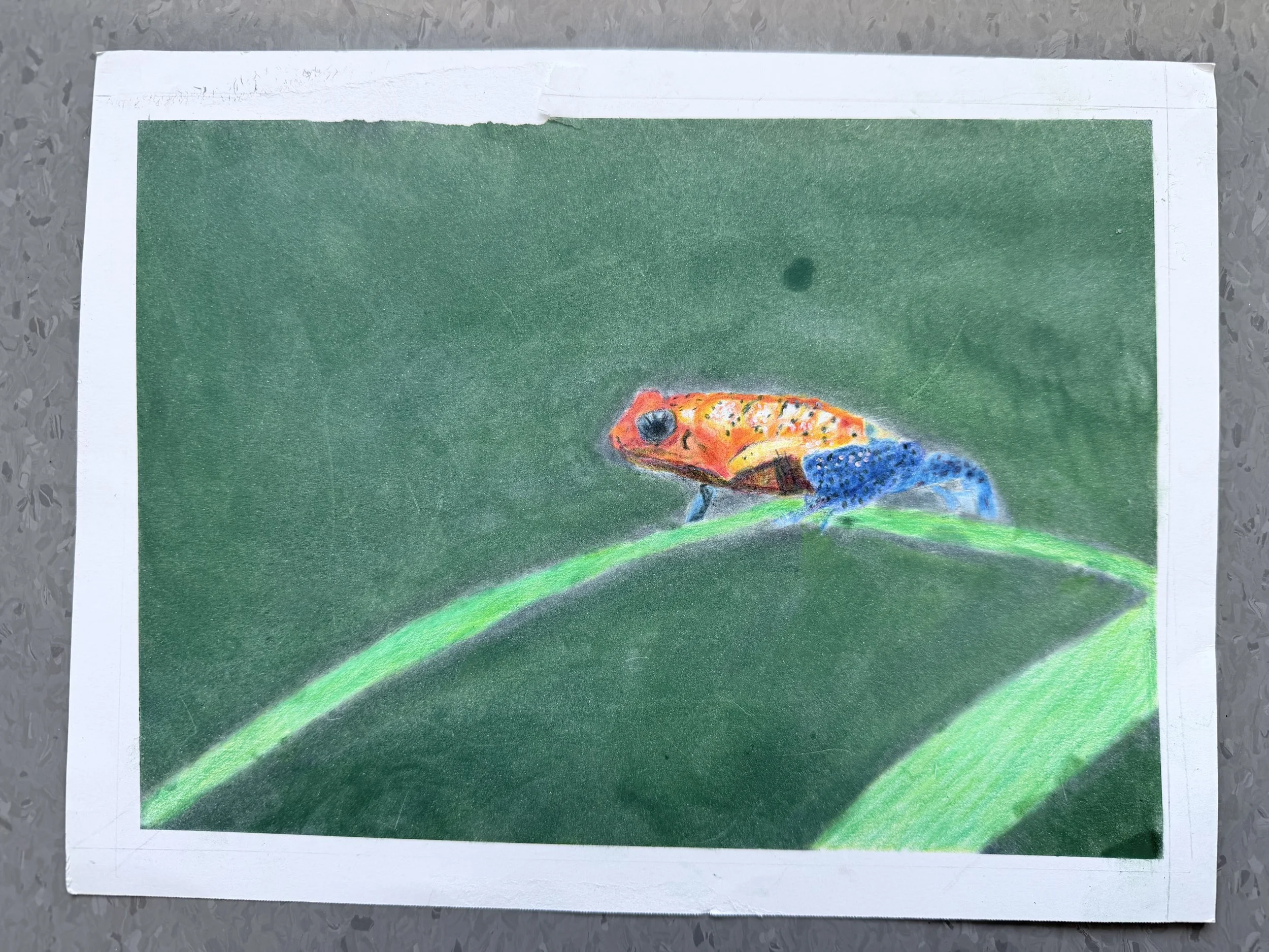 IMG_4263.jpeg