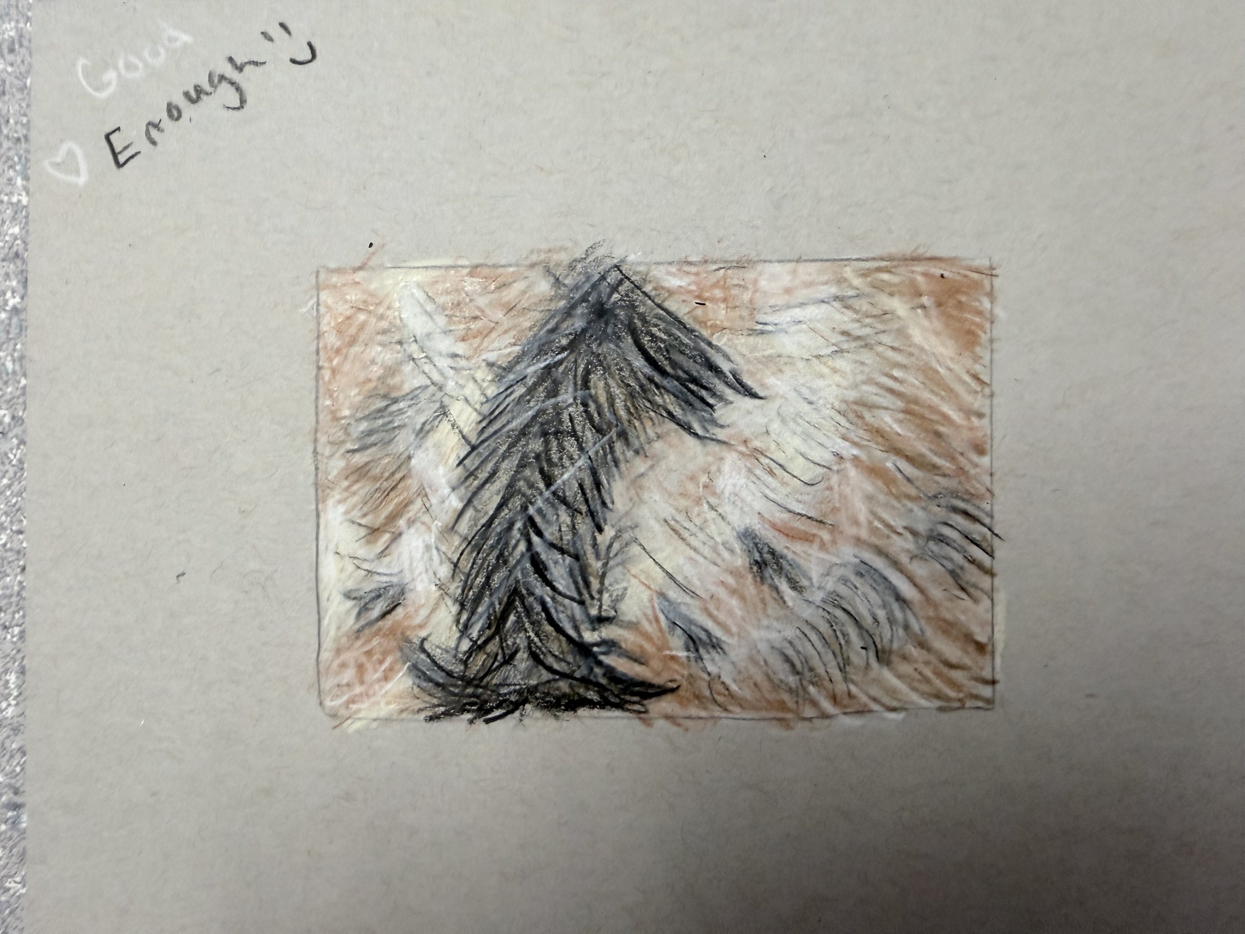 IMG_4950.jpeg