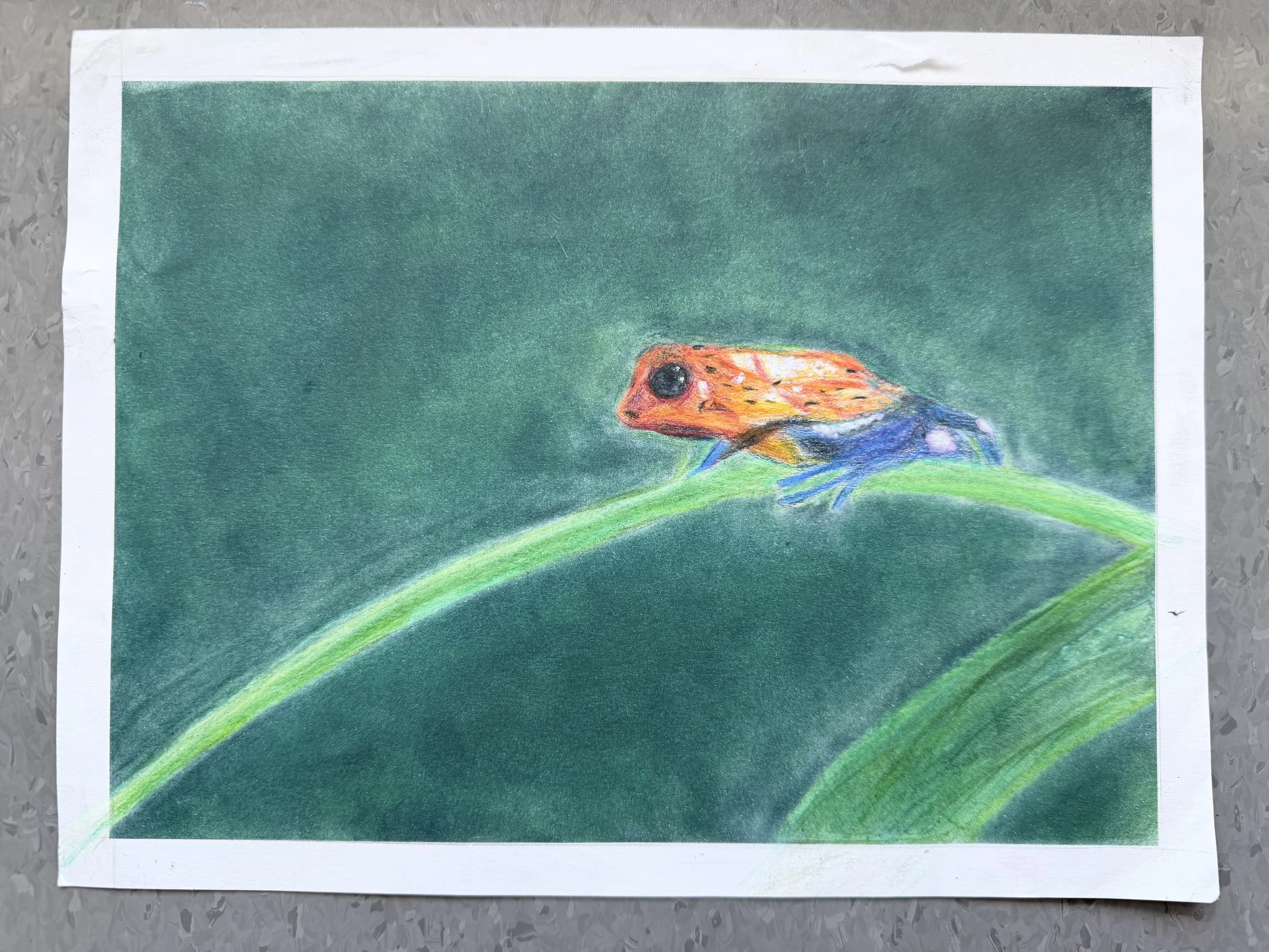 IMG_4272.jpeg