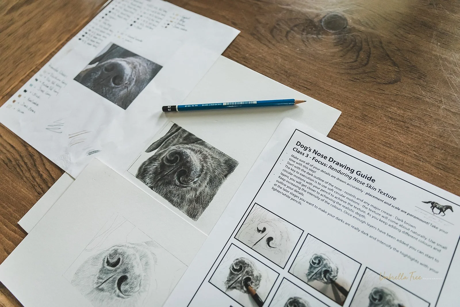 Dog Nose Drawing Guide