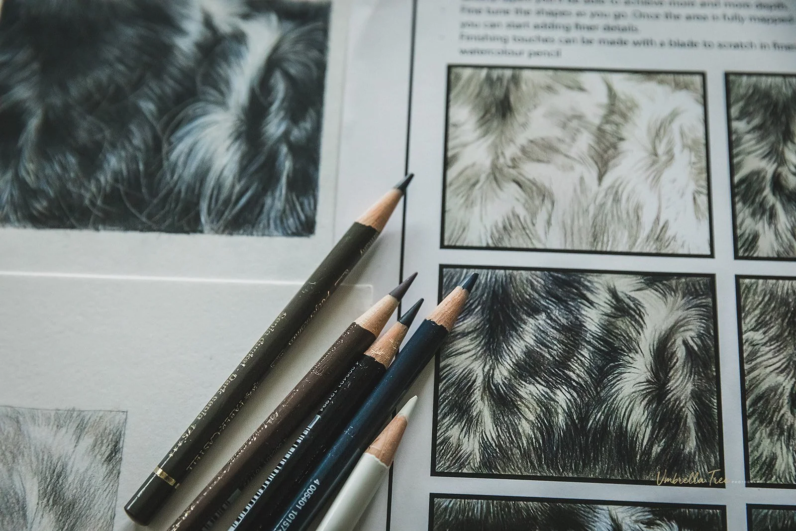 Dog Fur Drawing Guide