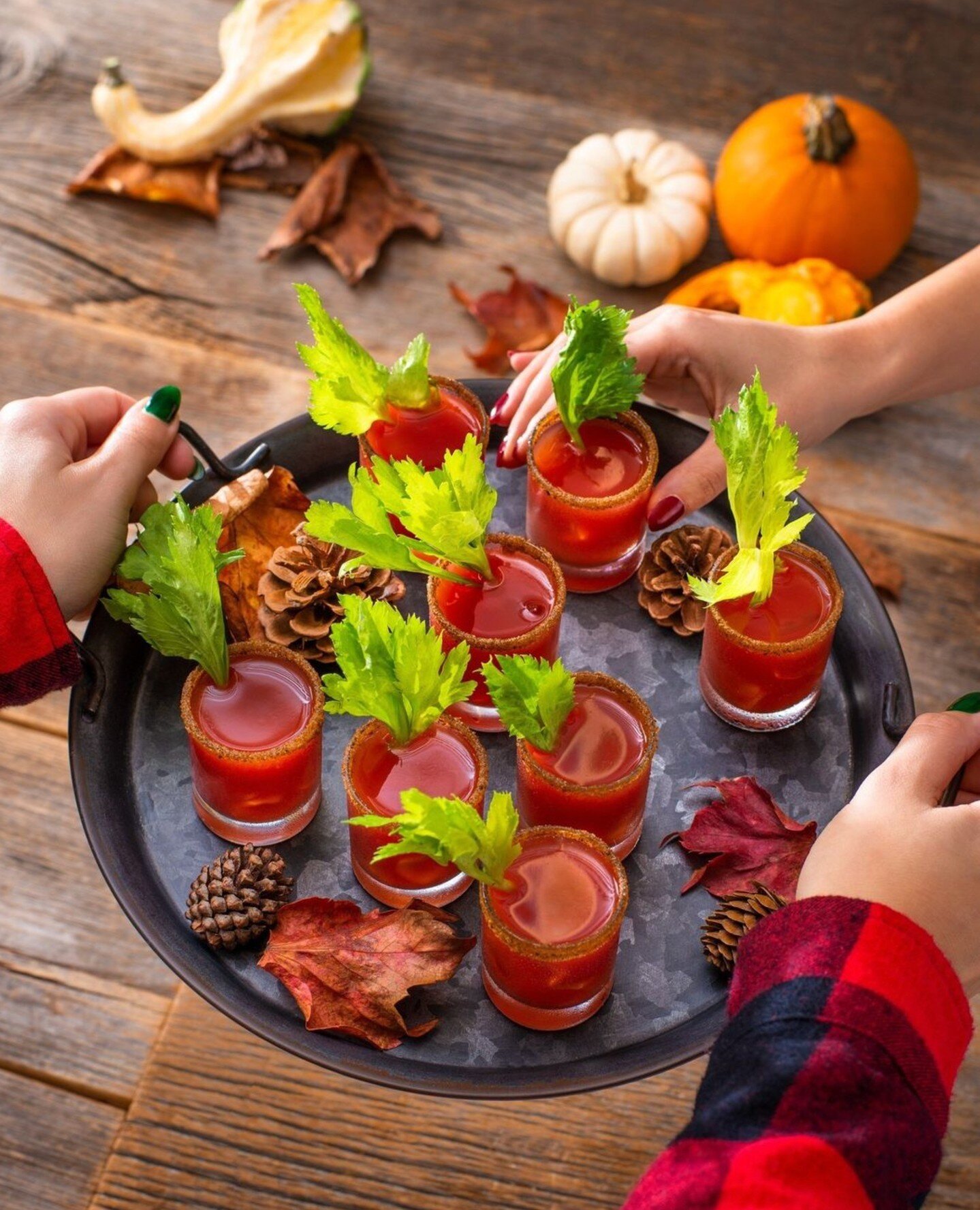 MOTTS CLAMATO⁠
⁠
&ldquo;Serving up the cutest mini cocktails you've ever seen 🍂🤎⁠
⁠
Please enjoy responsibly!&rdquo;⁠
⁠
Enjoy responsibly. ⁠
⁠
~ Motts⁠
⁠
#caesar #caesars #cocktails #canadianfood #foodstagram #foodphotography #drinkstagram #cocktai