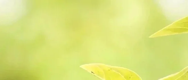 AdobeStock_107408108 2500.jpg
