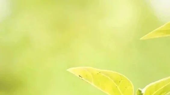 AdobeStock_107408108 2500.jpg