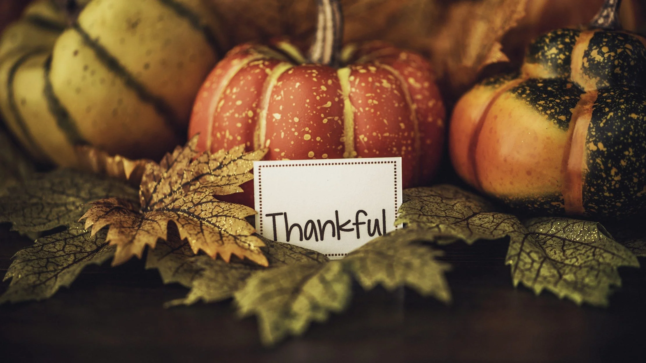 November President’s Message