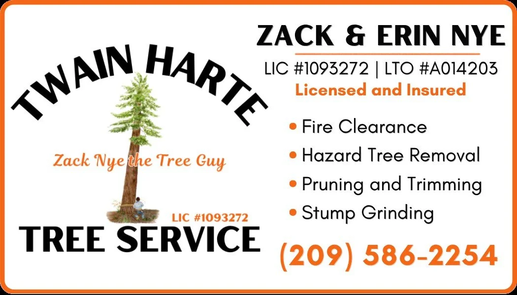 THTS Business Card-New.jpg