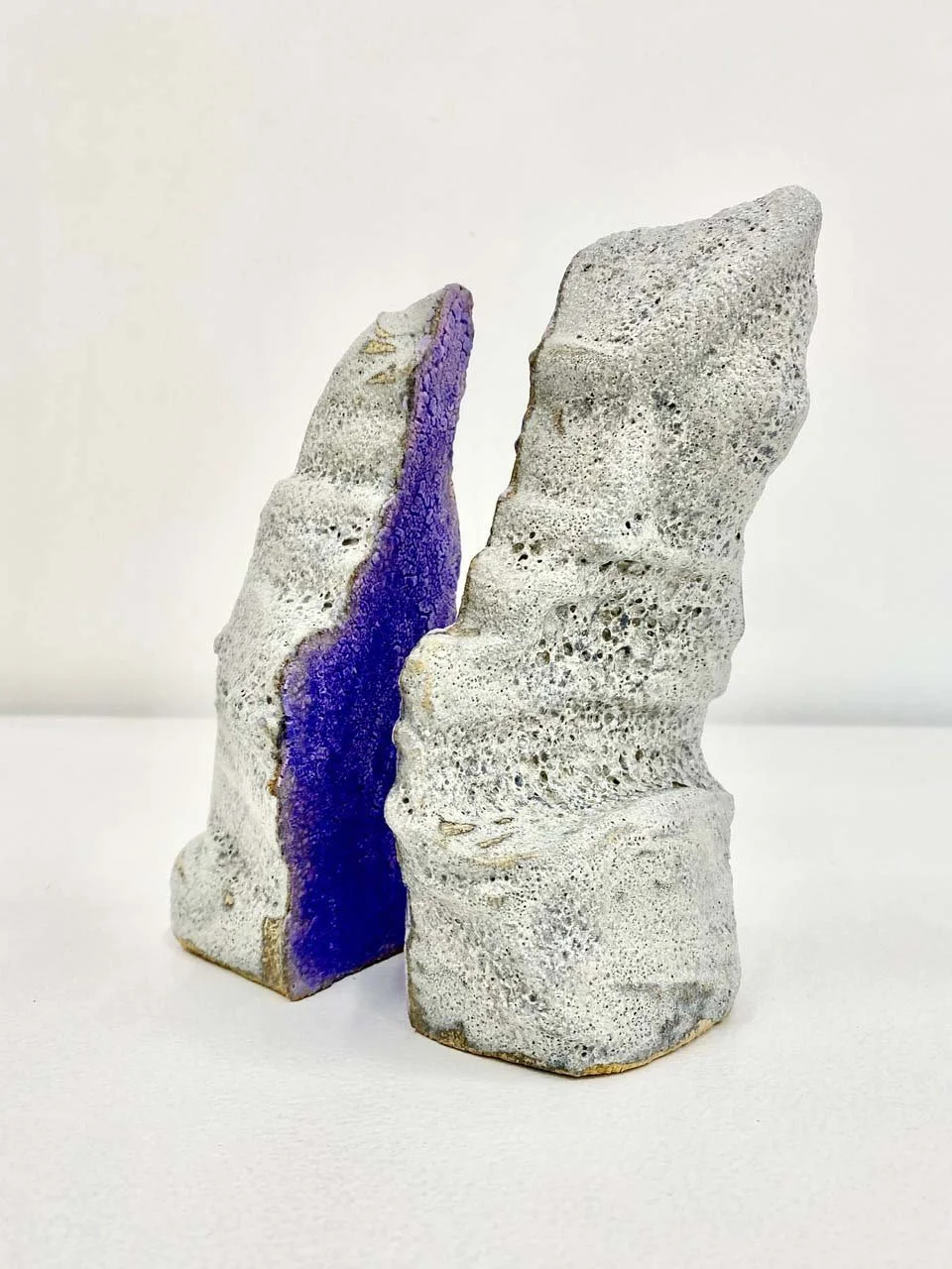 The Purple Within copy.jpg