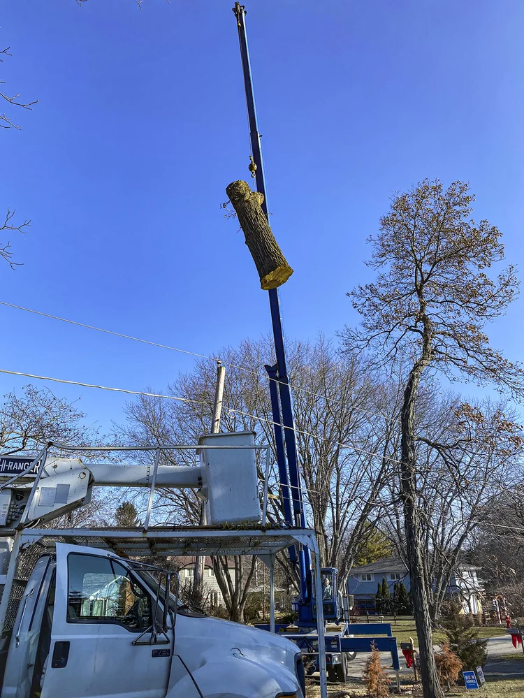 Crane-assisted removal