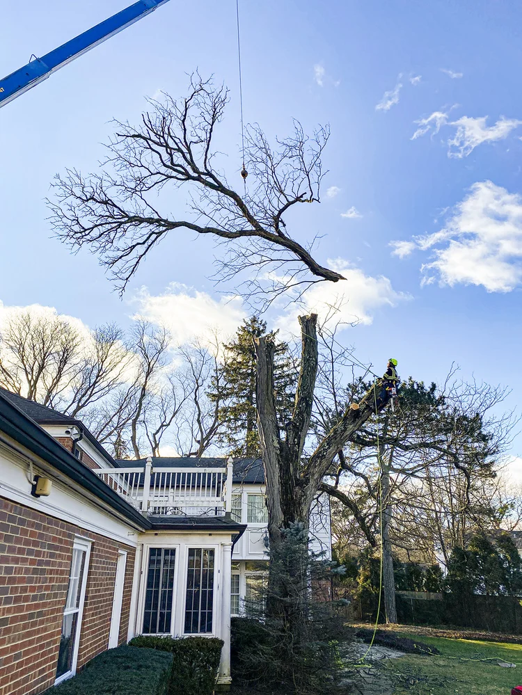 Crane-assisted removal