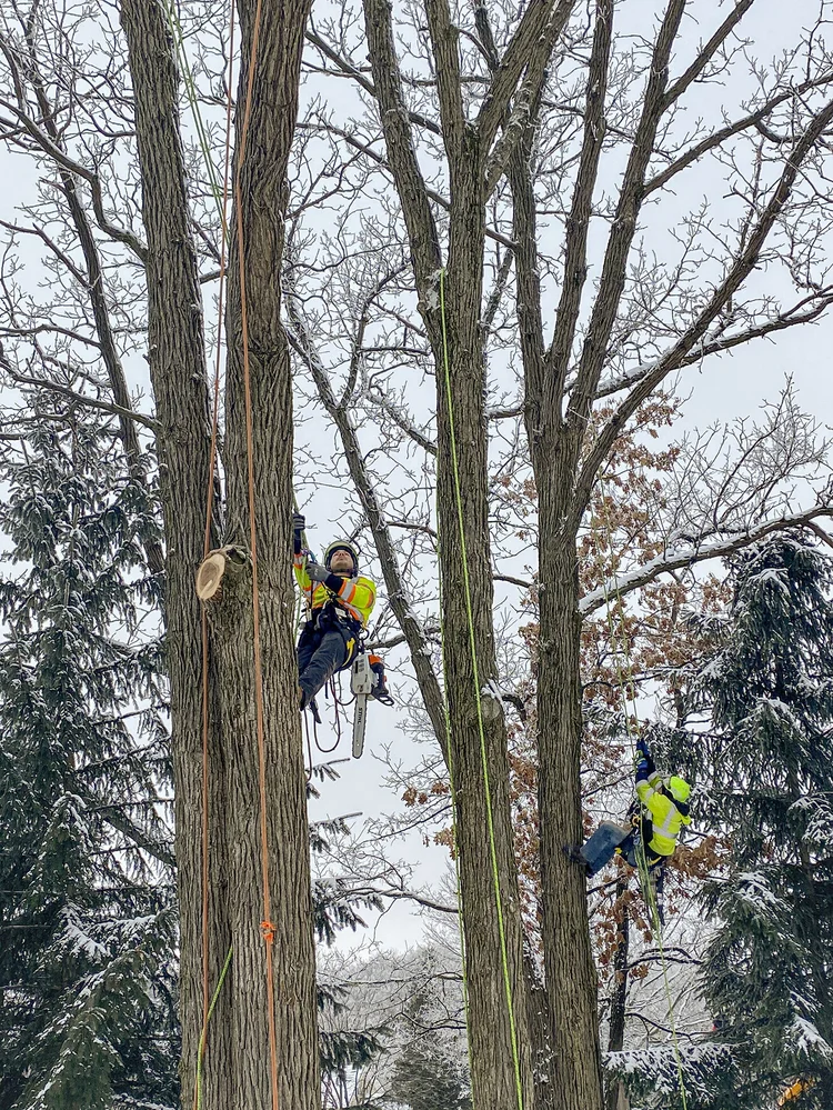 Climber at work