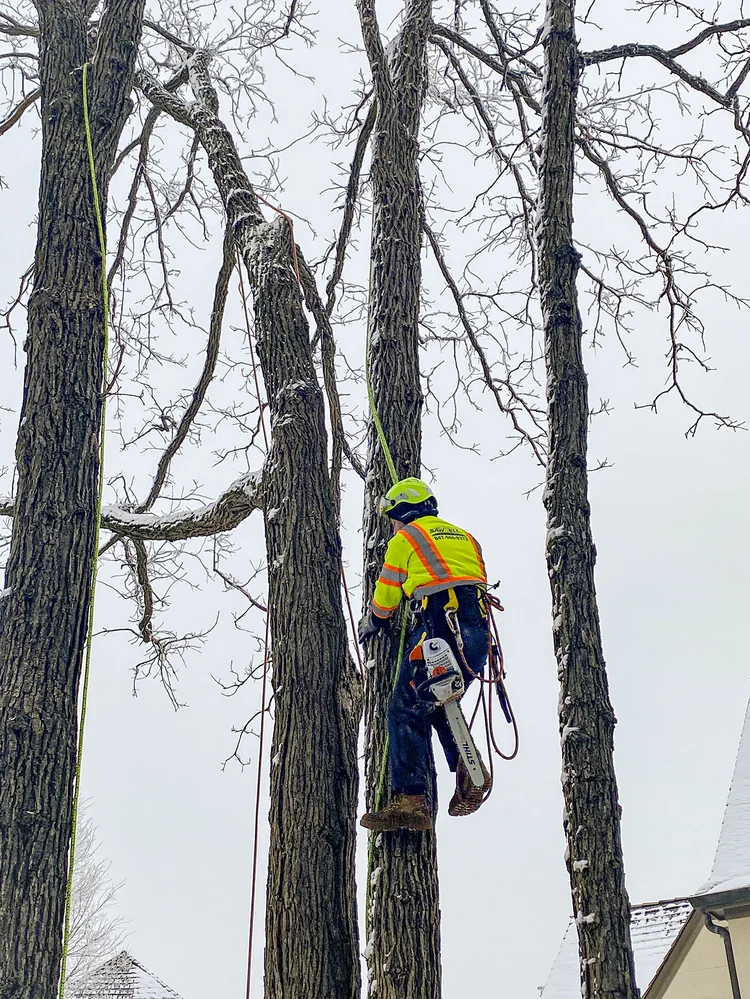 Climber at work