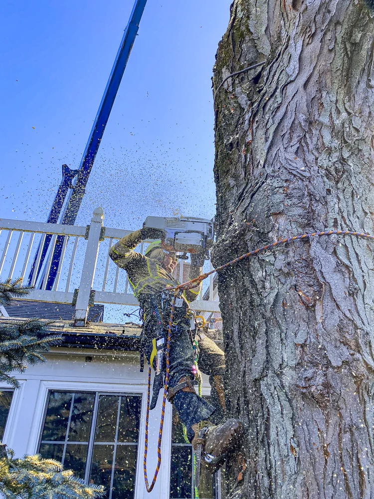 Crane-assisted removal