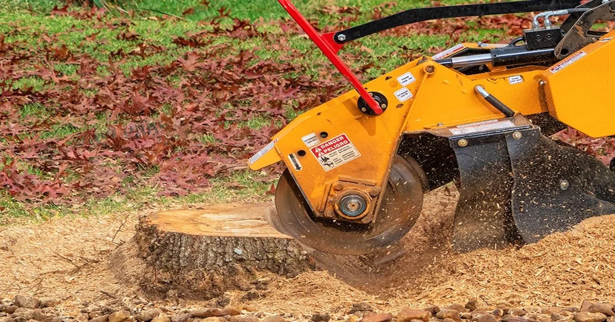 What Is the Difference Between Stump Grinding and Stump Removal?
