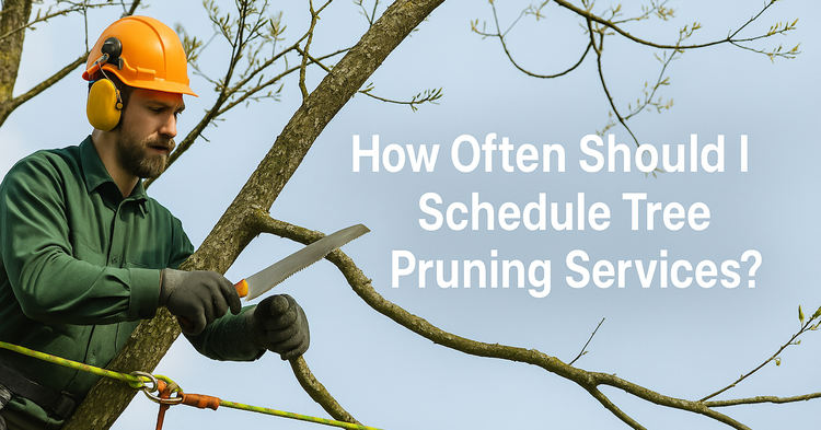 How Often Should I Schedule Tree Pruning Services?