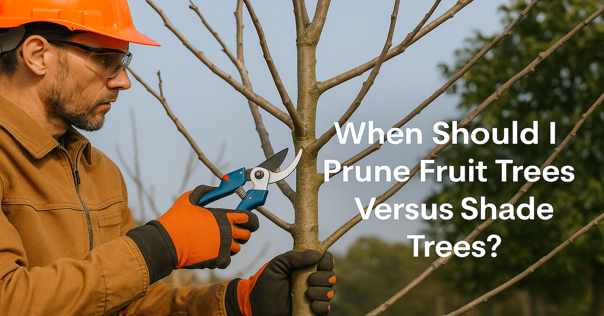 When Should I Prune Fruit Trees Versus Shade Trees?